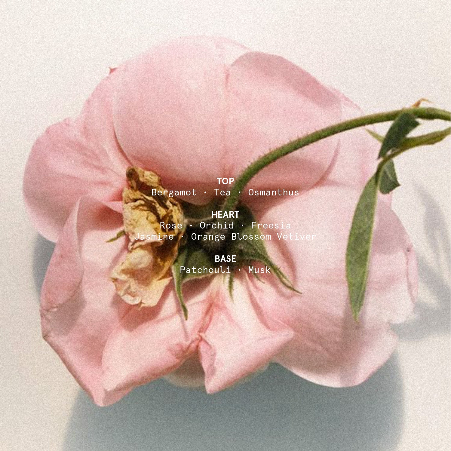 EARTH LOVE EAU DE PARFUM