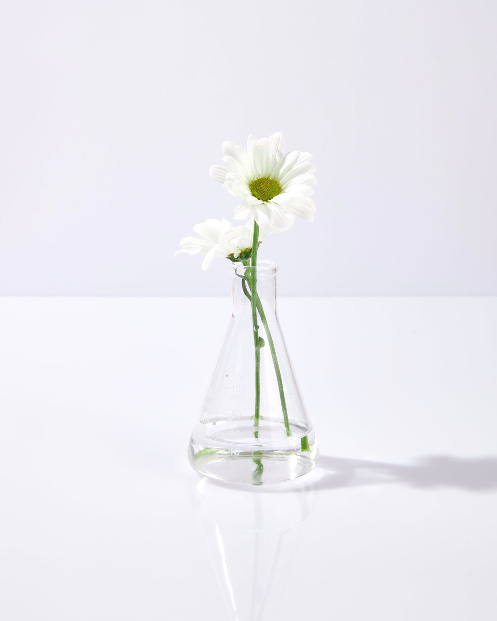 HERBY FLORAL MIST