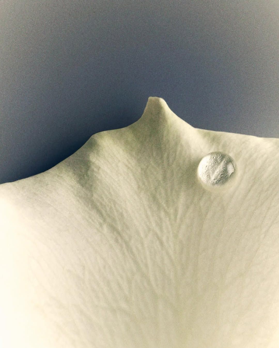 NIACINAMIDE İÇEREN ÜRÜNLER