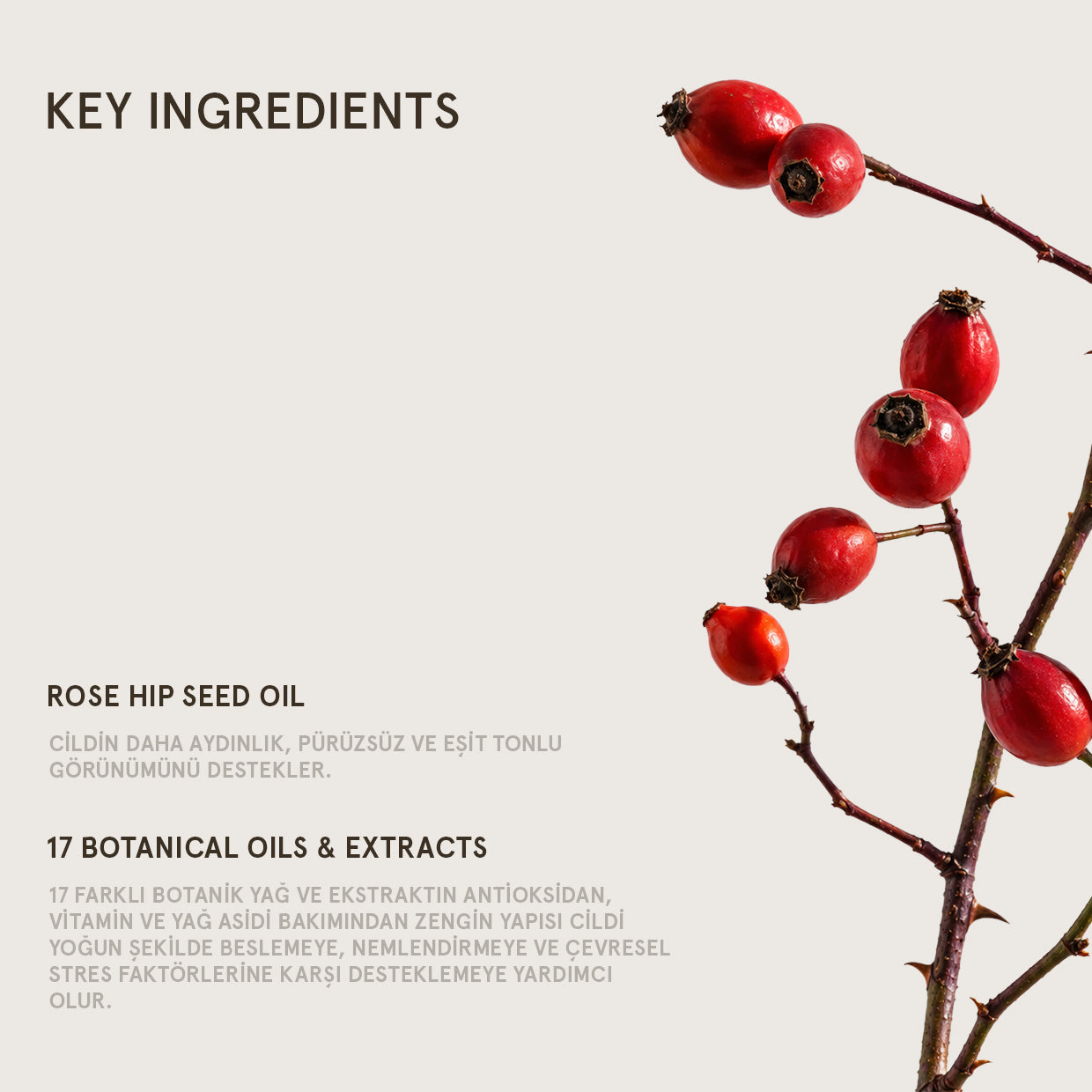 ANTIOXIDANT BRIGHTENING OIL
