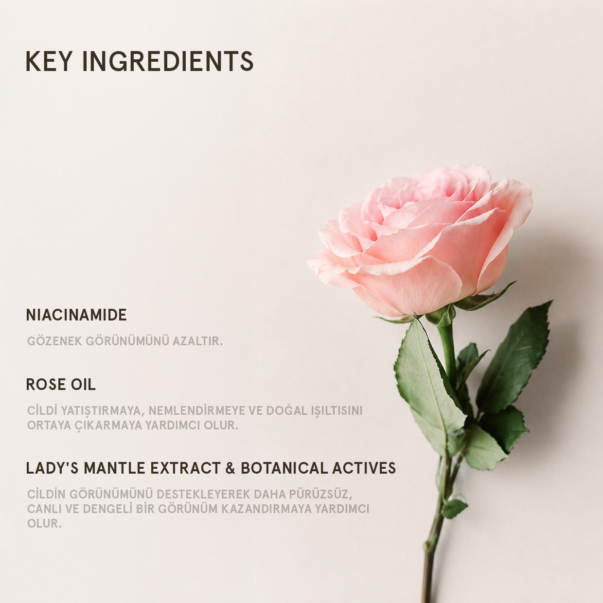 ROSE SUPER-ANTIOXIDANT SERUM