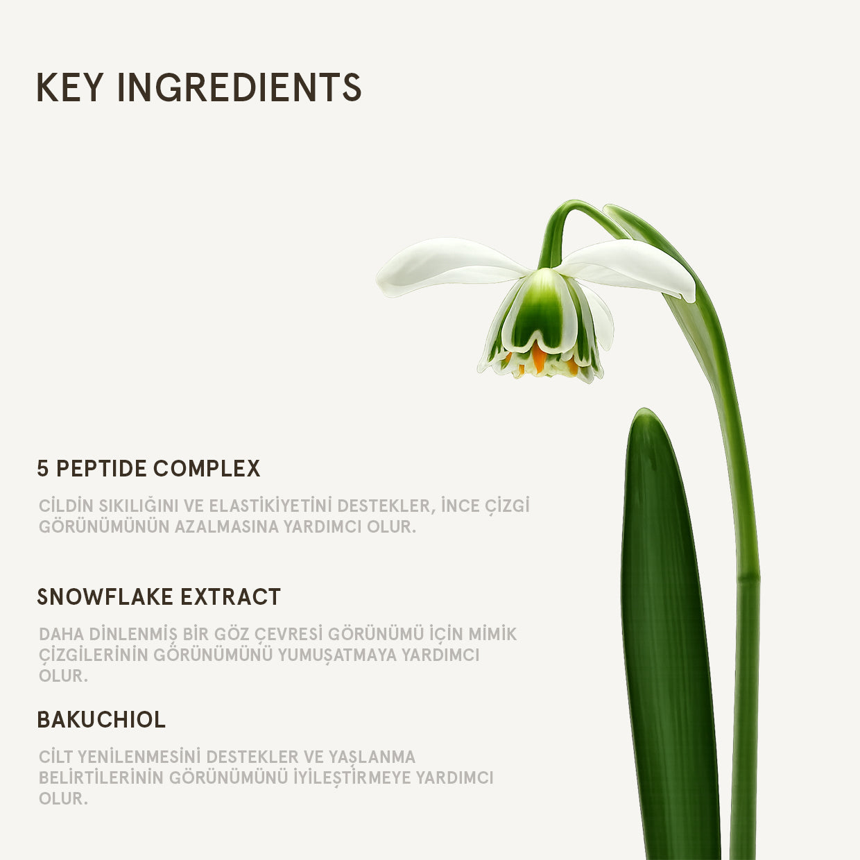 SNOWFLAKE ANTI-WRINKLE EYE CREAM