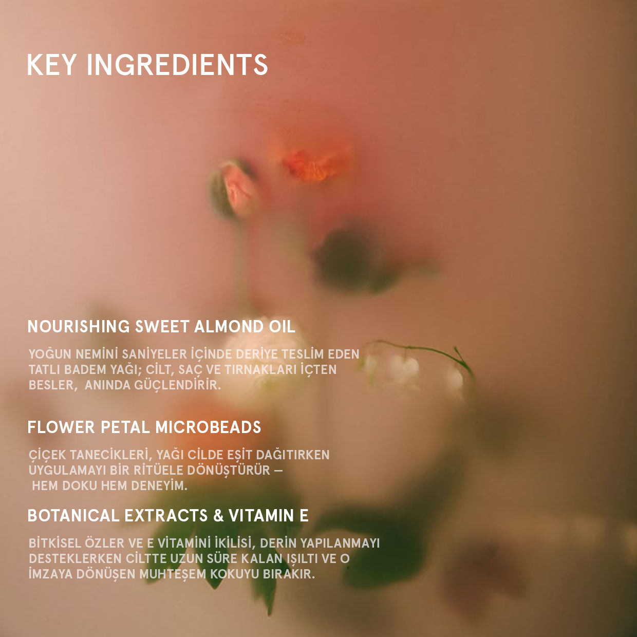 SPICY ALMOND DRY OIL